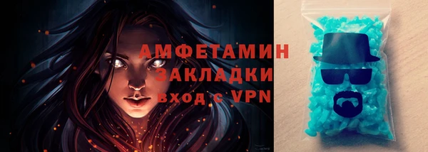 крисы Кулебаки