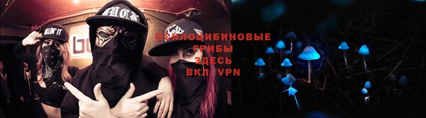 мяу мяу мука Аркадак