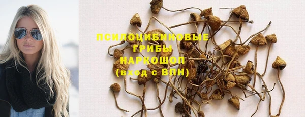 трава Арсеньев