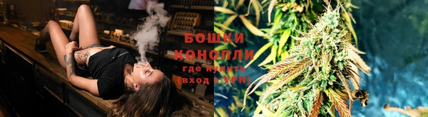 мяу мяу мука Аркадак